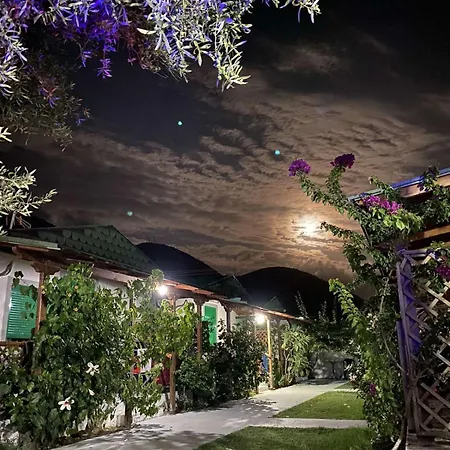 Apartment Shtepia Aral