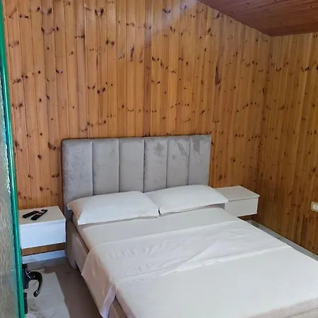 Shtepia Aral Apartment Borsh